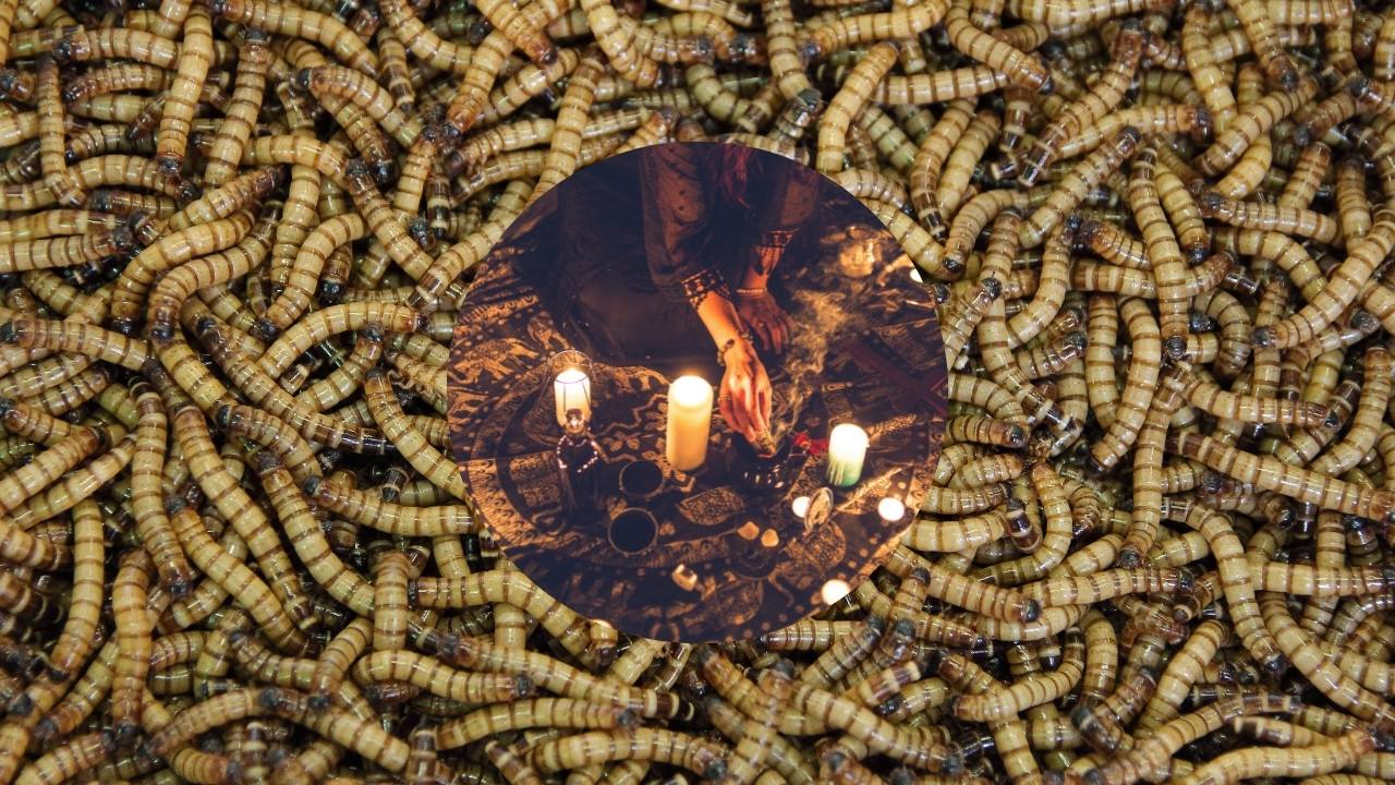 significado espiritual gusanos en casa