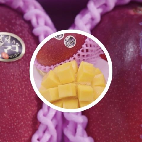 mangos cuestan 80 mil pesos