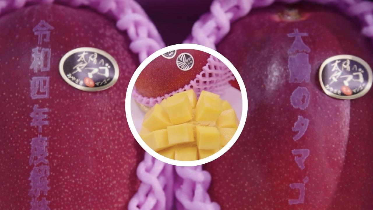 mangos cuestan 80 mil pesos
