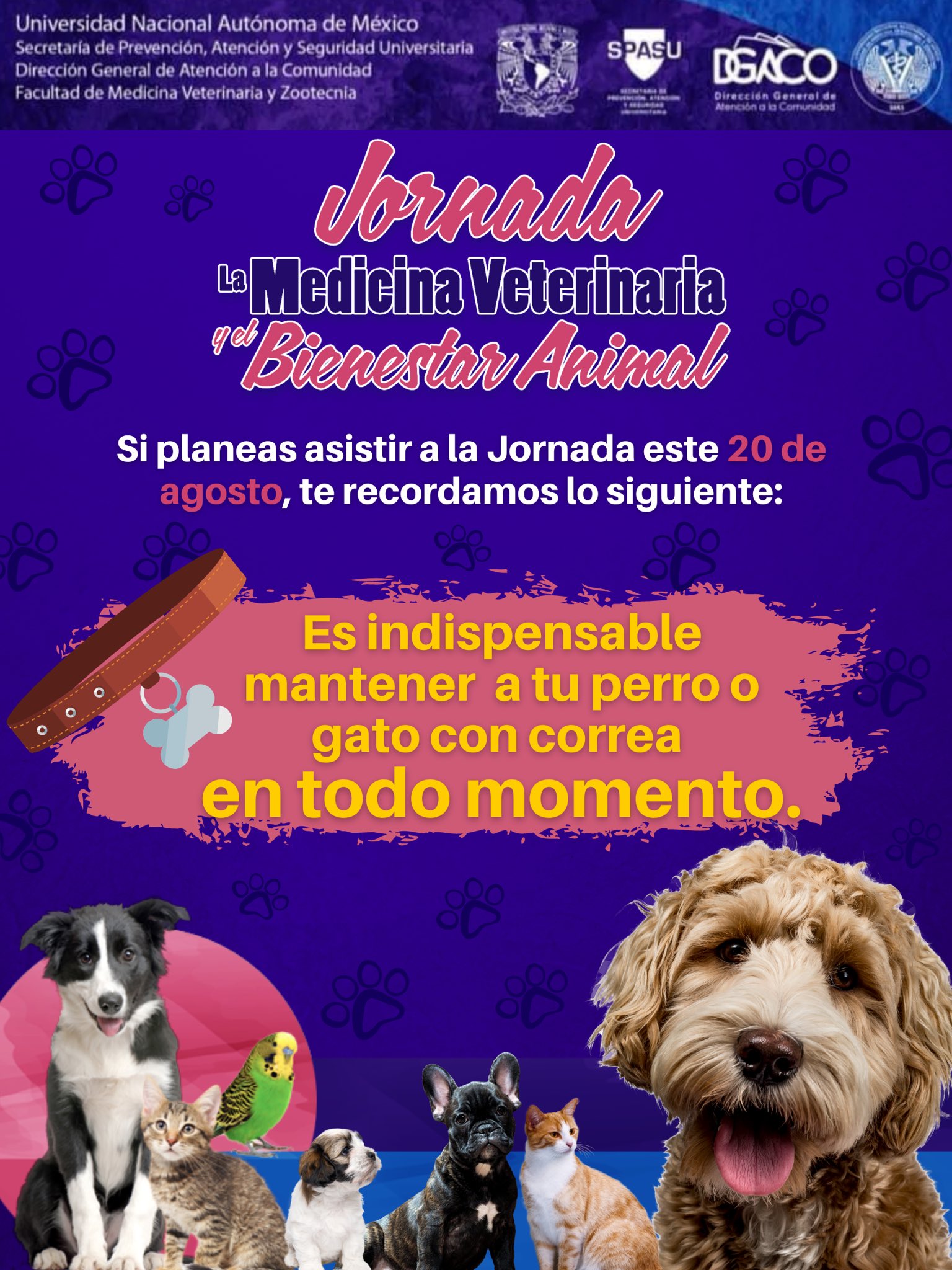 Jornada-de-medicina-veterinaria-en-la-UNAM-2022 (1)