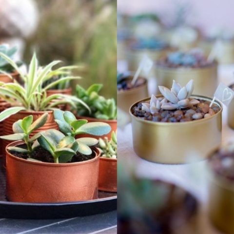 macetas hechas con lata