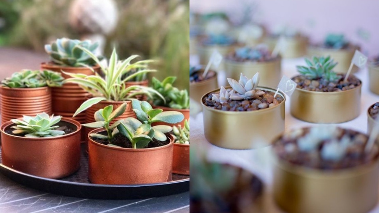 macetas hechas con lata