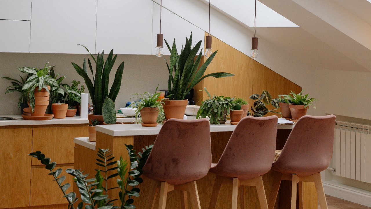 inconvenientes macetas de barro