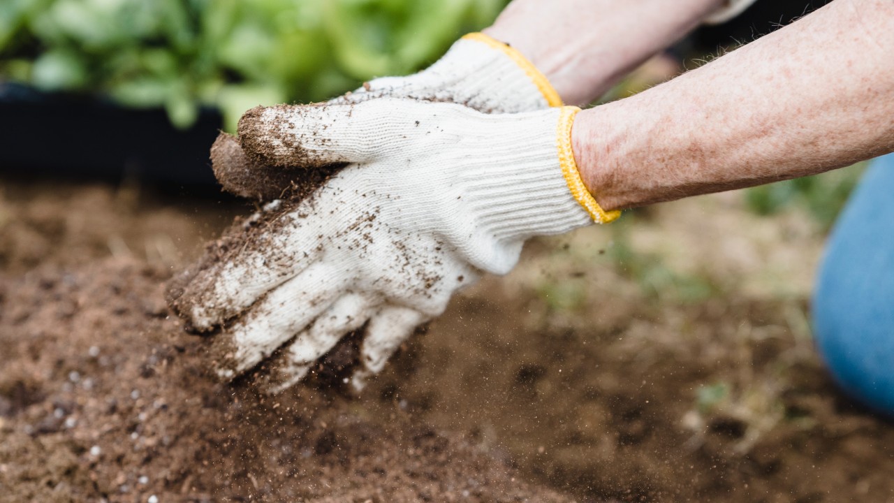 ritual para atraer buena suerte junio 2022