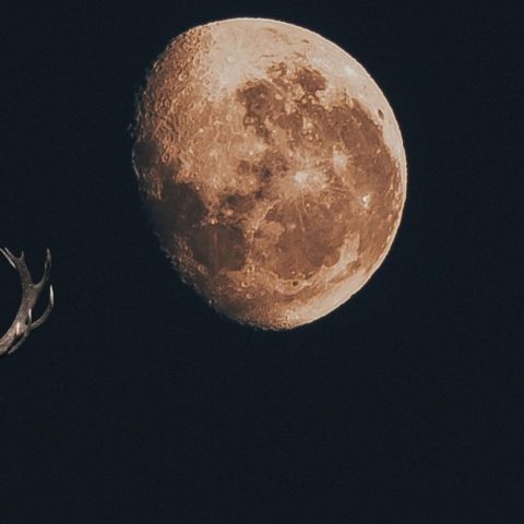 superluna de ciervo 2022