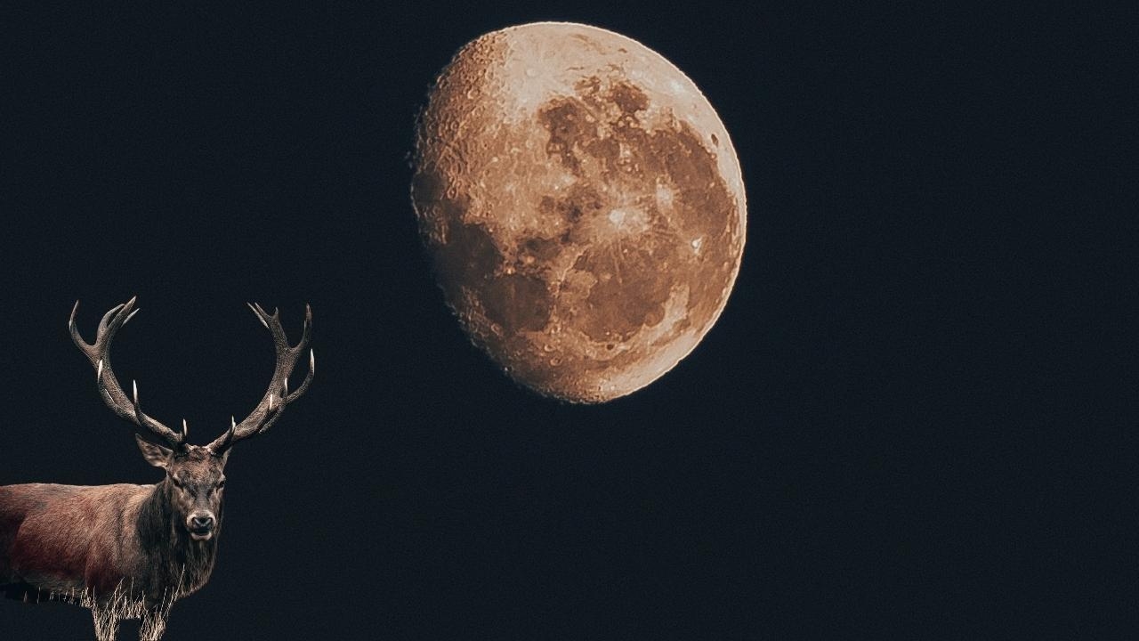 superluna de ciervo 2022