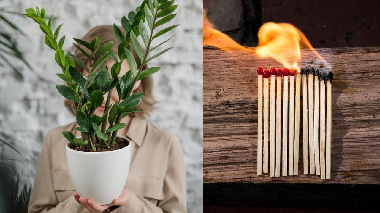 Cómo usar los cerillos en la jardinería