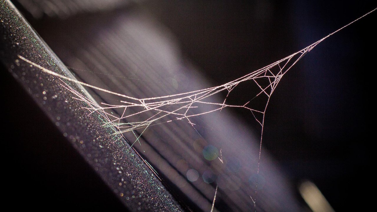 trucos para limpiar telarañas