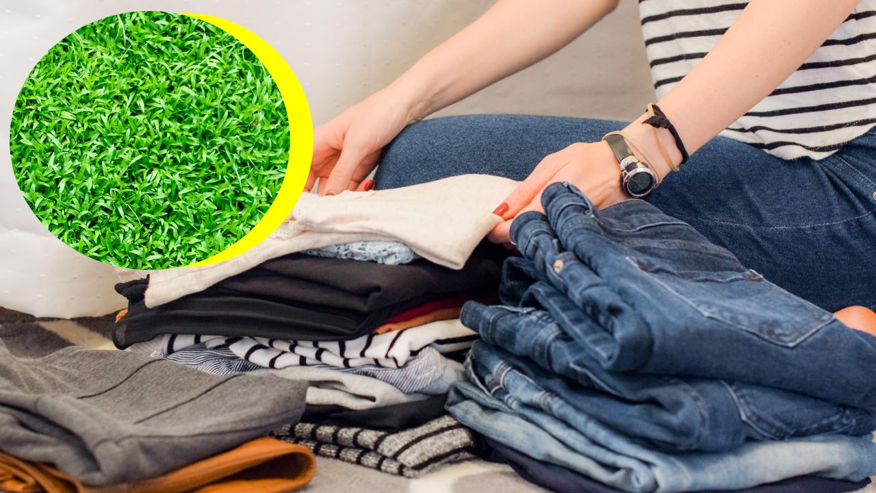 azúcar para limpiar manchas de pasto de la ropa