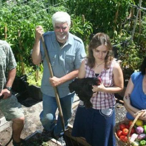 cultivan sus propios alimentos