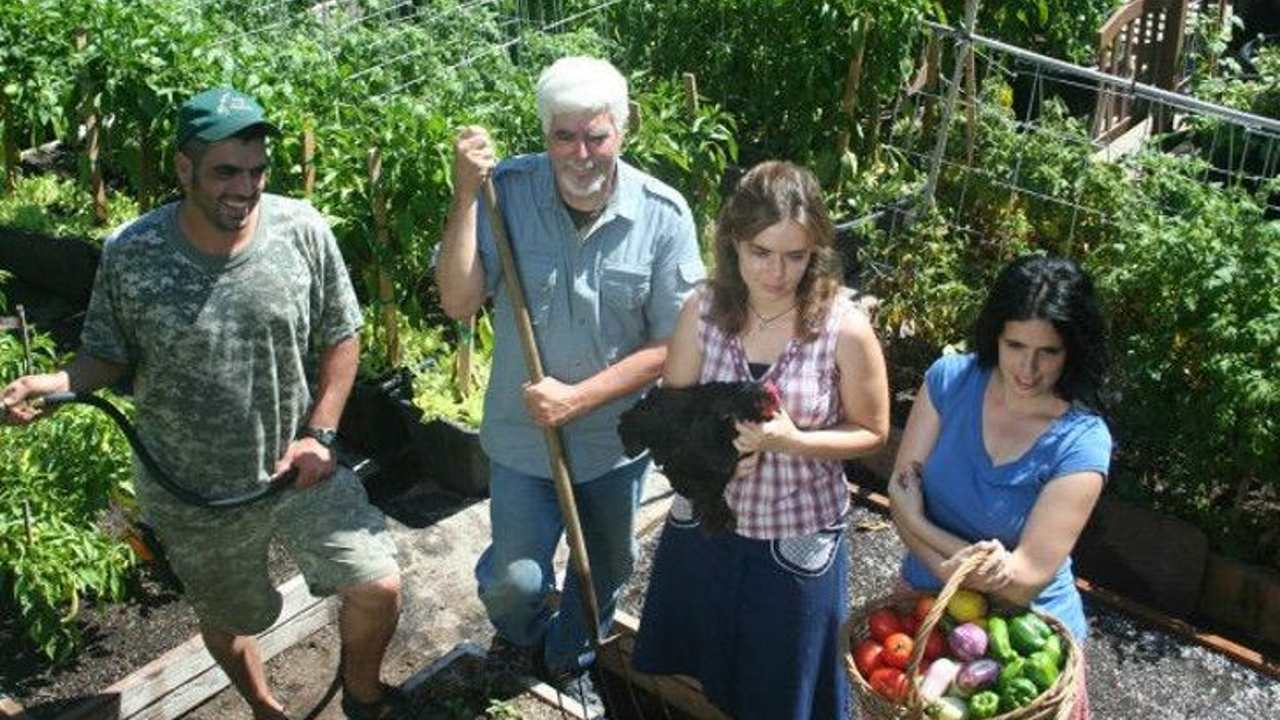 cultivan sus propios alimentos