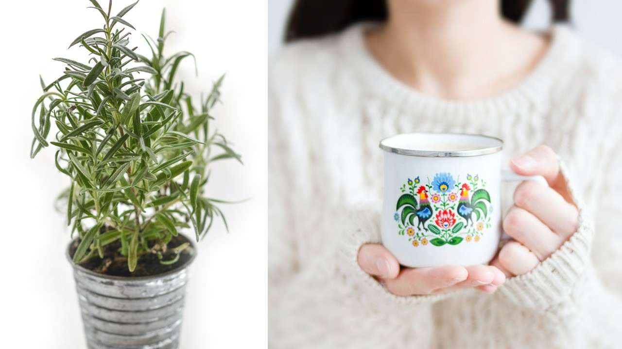 receta para hacer una infusión con romero