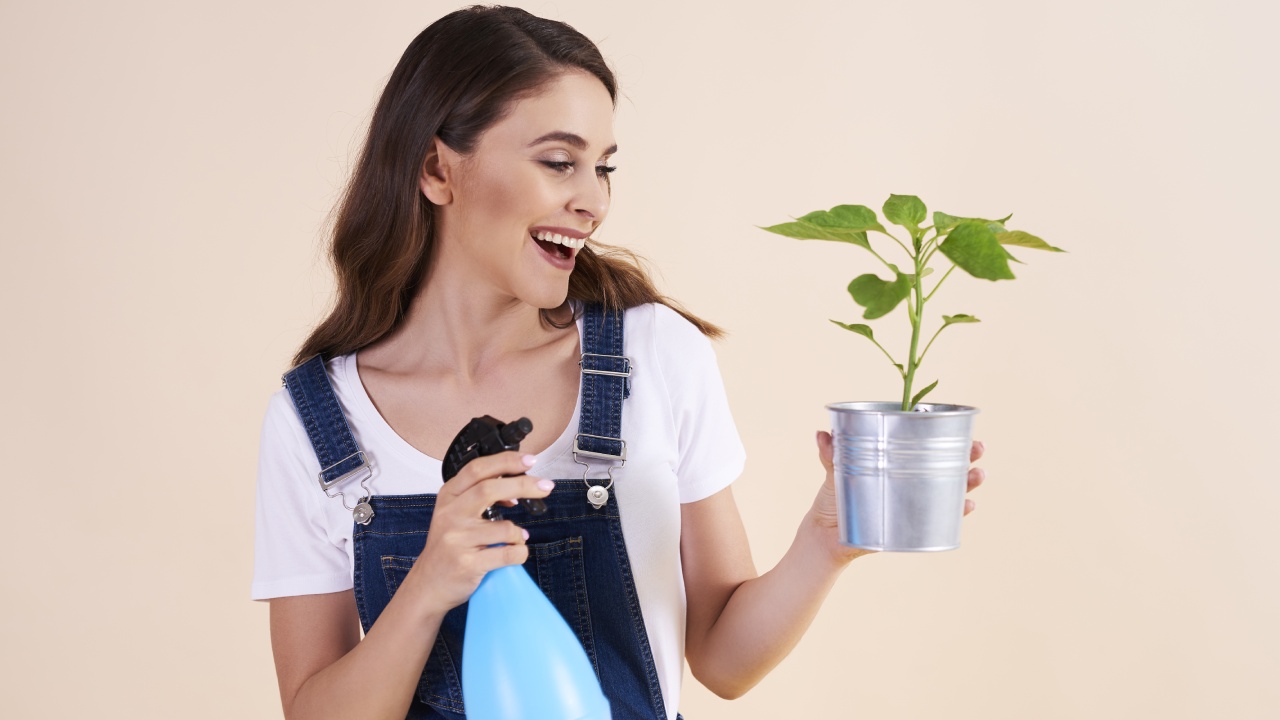 insecticida natural con aceite de neem