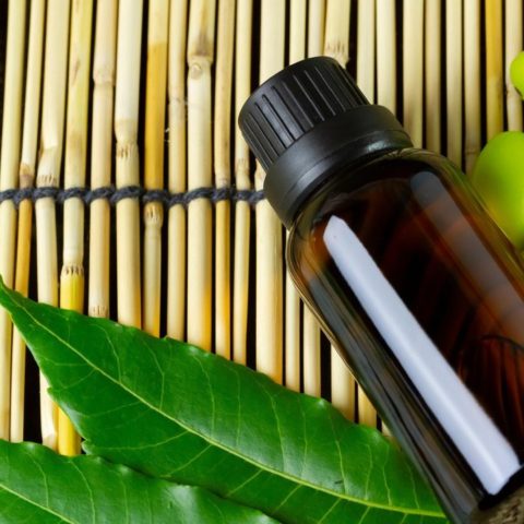 insecticida natural con aceite de neem