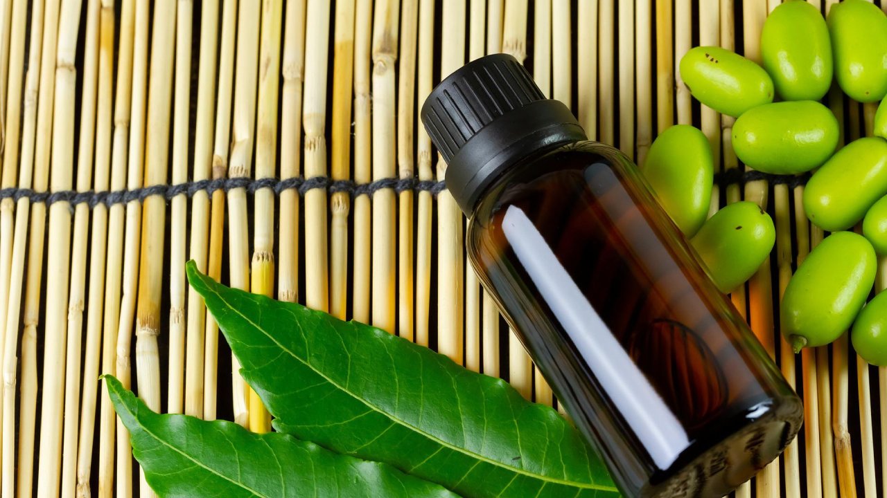 insecticida natural con aceite de neem