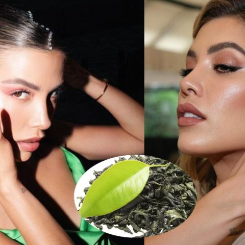 michelle salas remedio casero con te verde