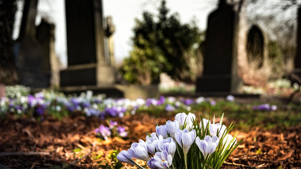  cariño muy especial 