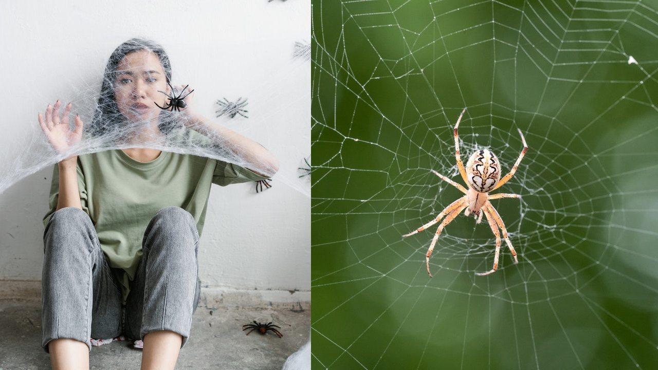 significado espiritual de tener aranas en casa