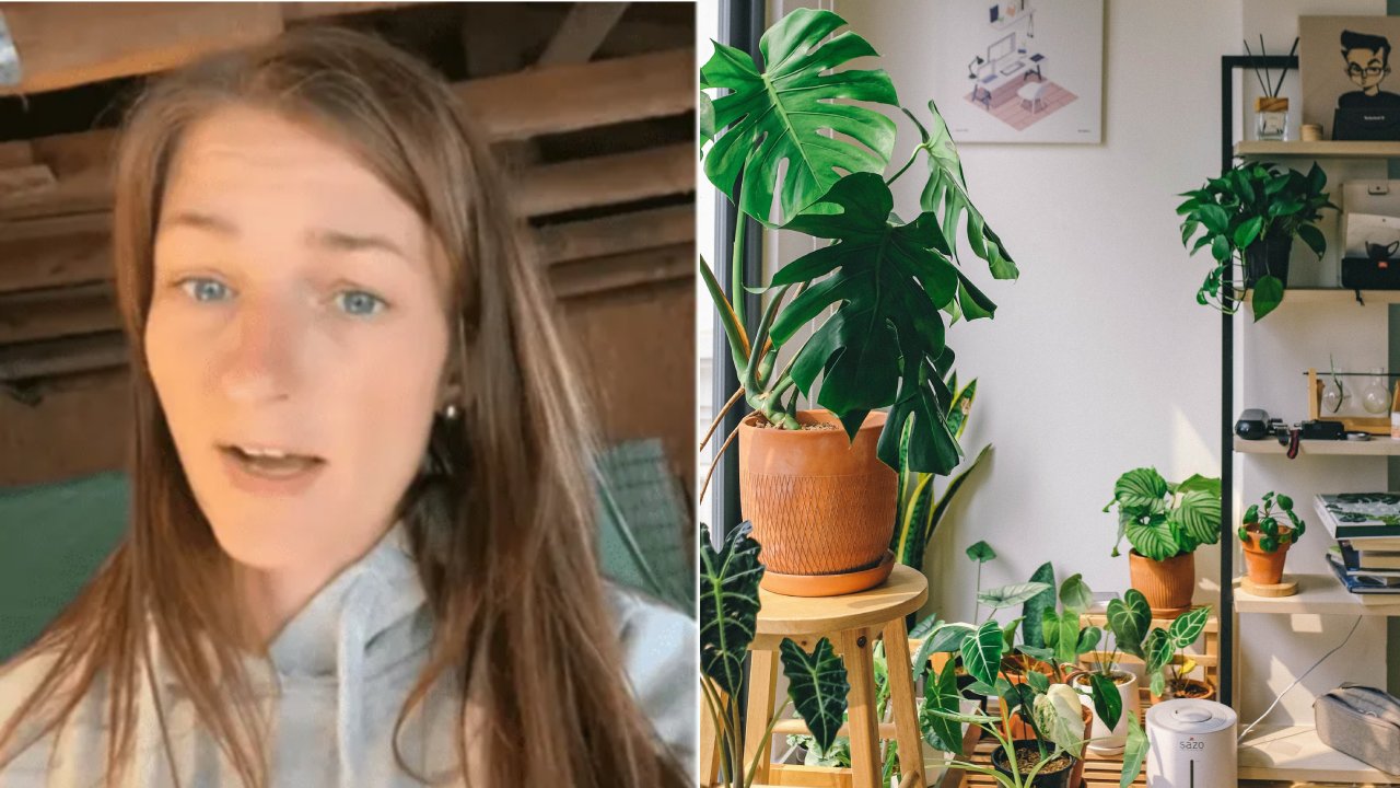 truco para hacer crecer tus plantas