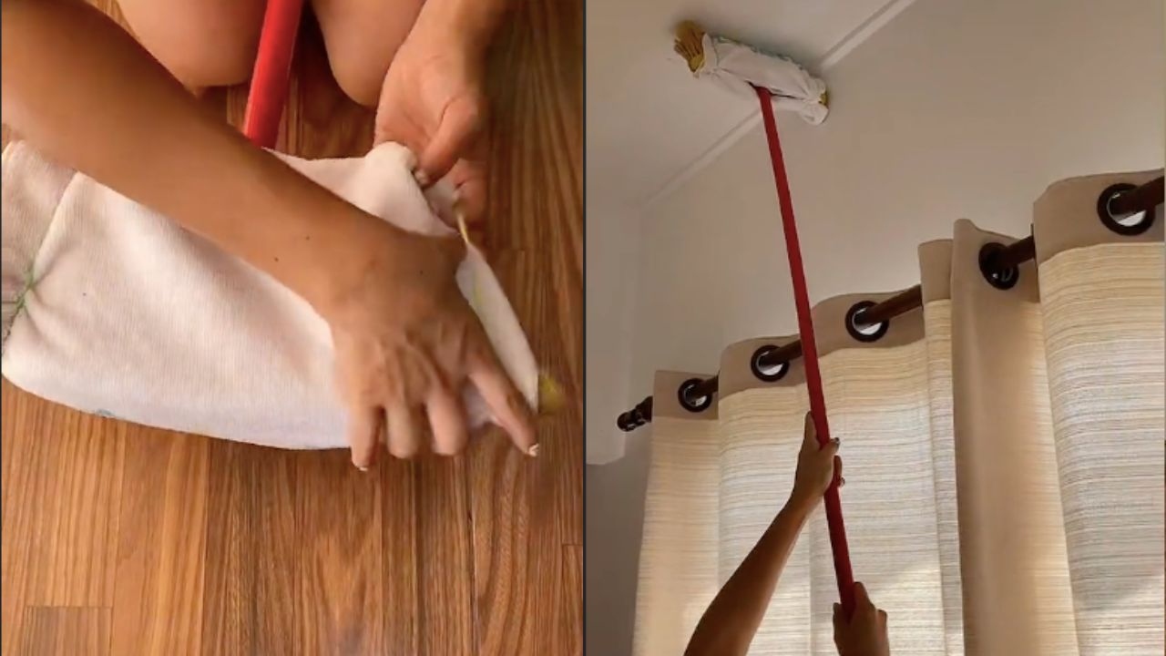 limpiador de telaranas