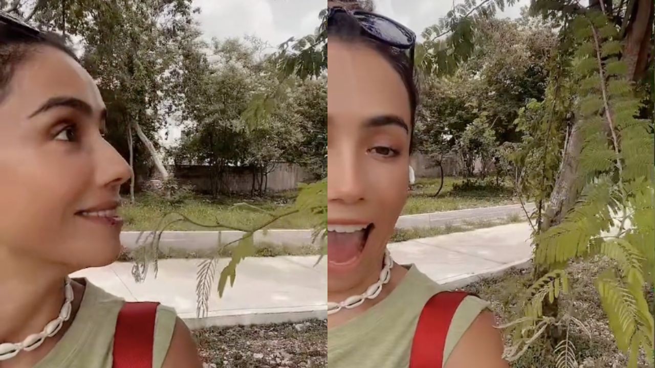 arbol toca mi hombro