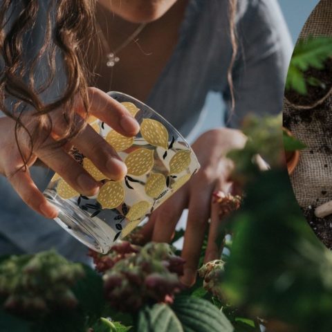 agregar calcio a la tierra