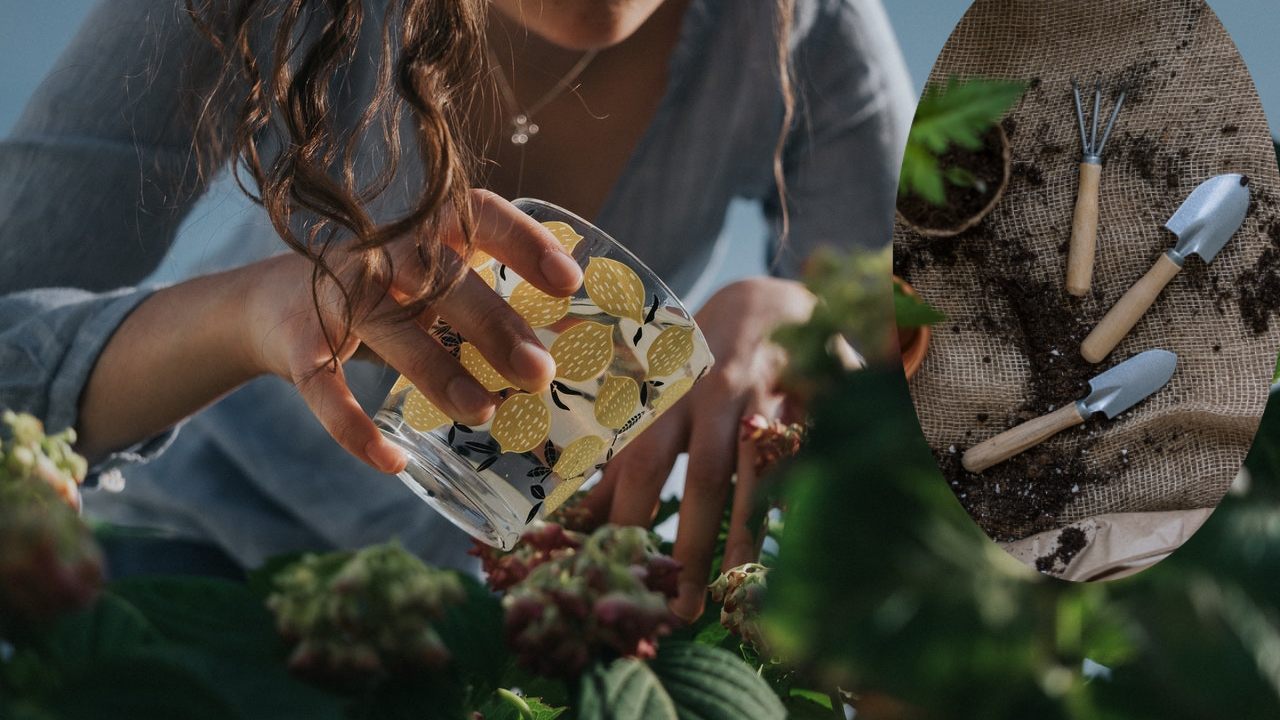 agregar calcio a la tierra