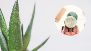shampoo solido aloe vera