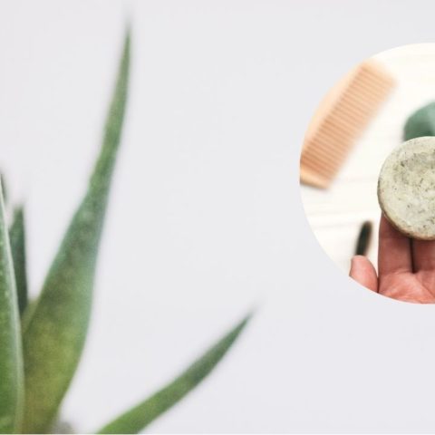 shampoo solido aloe vera