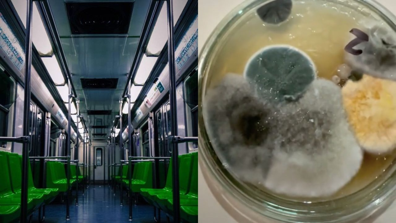 lugar con mas bacterias metro