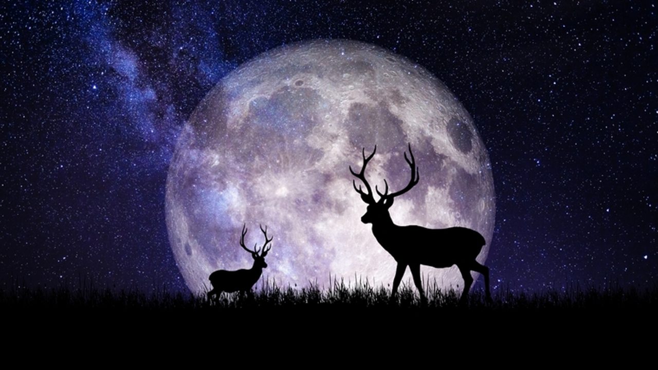 miércoles 13 de julio del año 2022