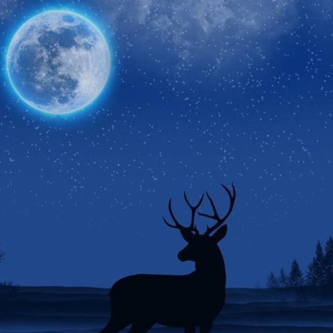 Luna de Ciervo 2022