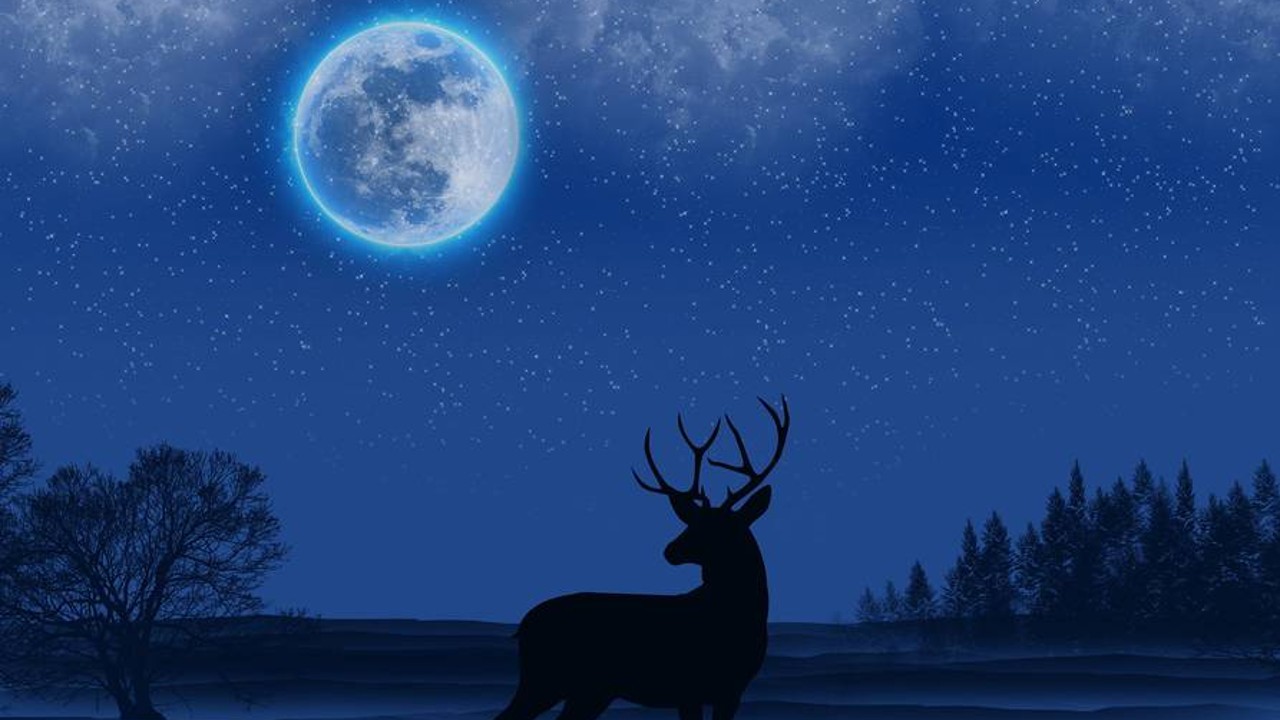 Luna de Ciervo 2022