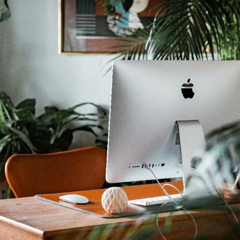 Plantas para atraer la abundancia