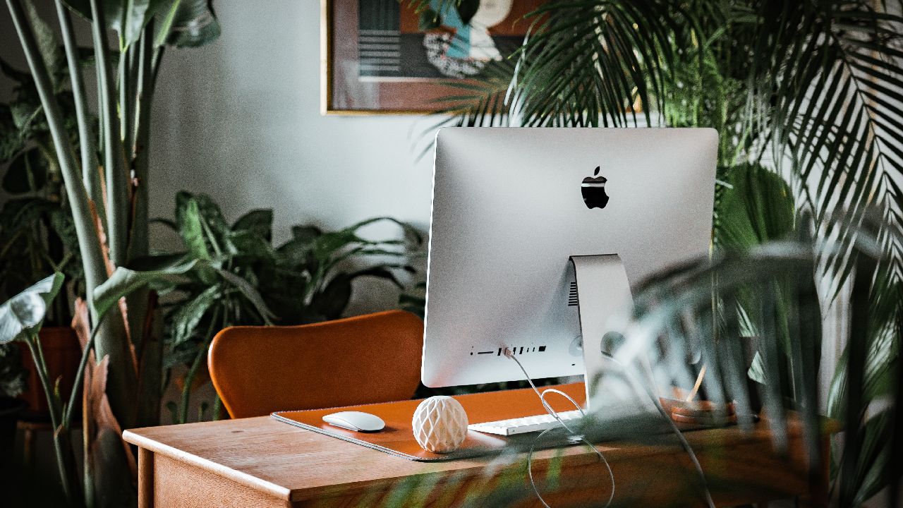 Plantas para atraer la abundancia