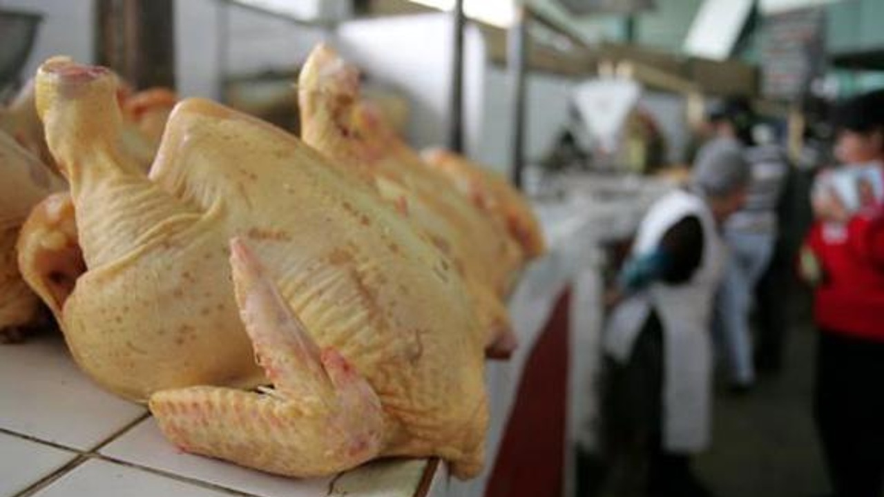 corte sucio en el pollo