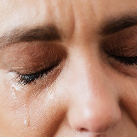 Por que se usa la expresion lagrimas de cocodrilo Asi surgio la popular frase