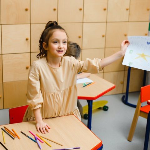 Que es el metodo Doman