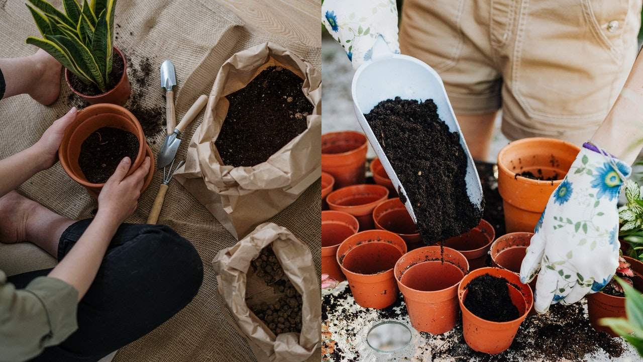 tierra vieja de tus macetas