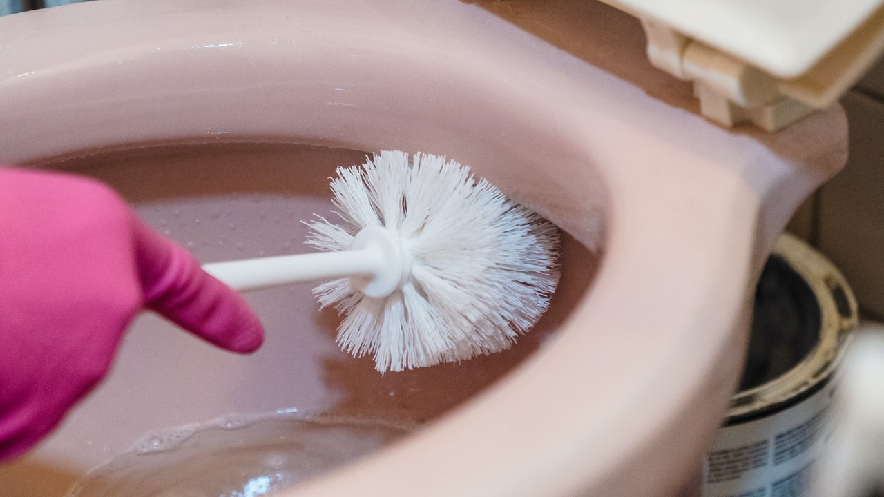 limpiar el sanitario de forma natural