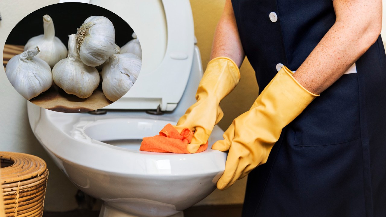 Tips con ajo para limpiar y desinfectar tu inodoro