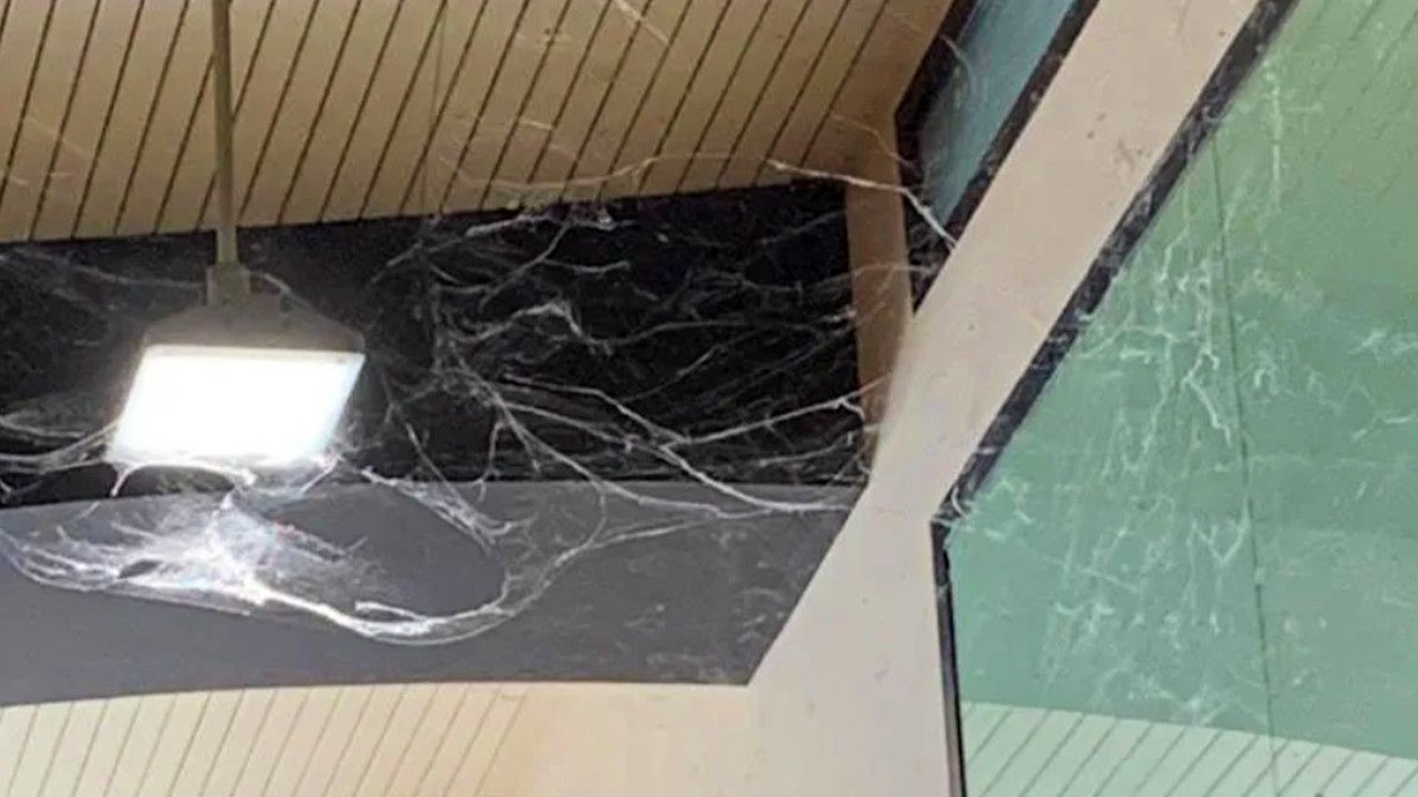 ¿Cómo quito las telarañas sin que me caigan en la cabeza?