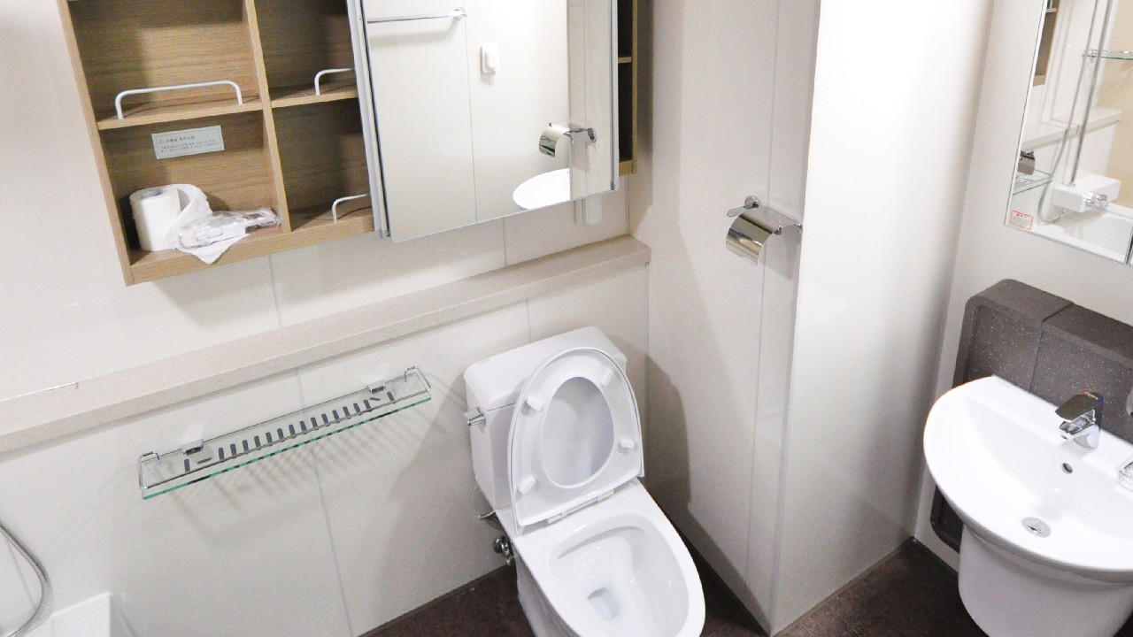 quitar mal olor bano