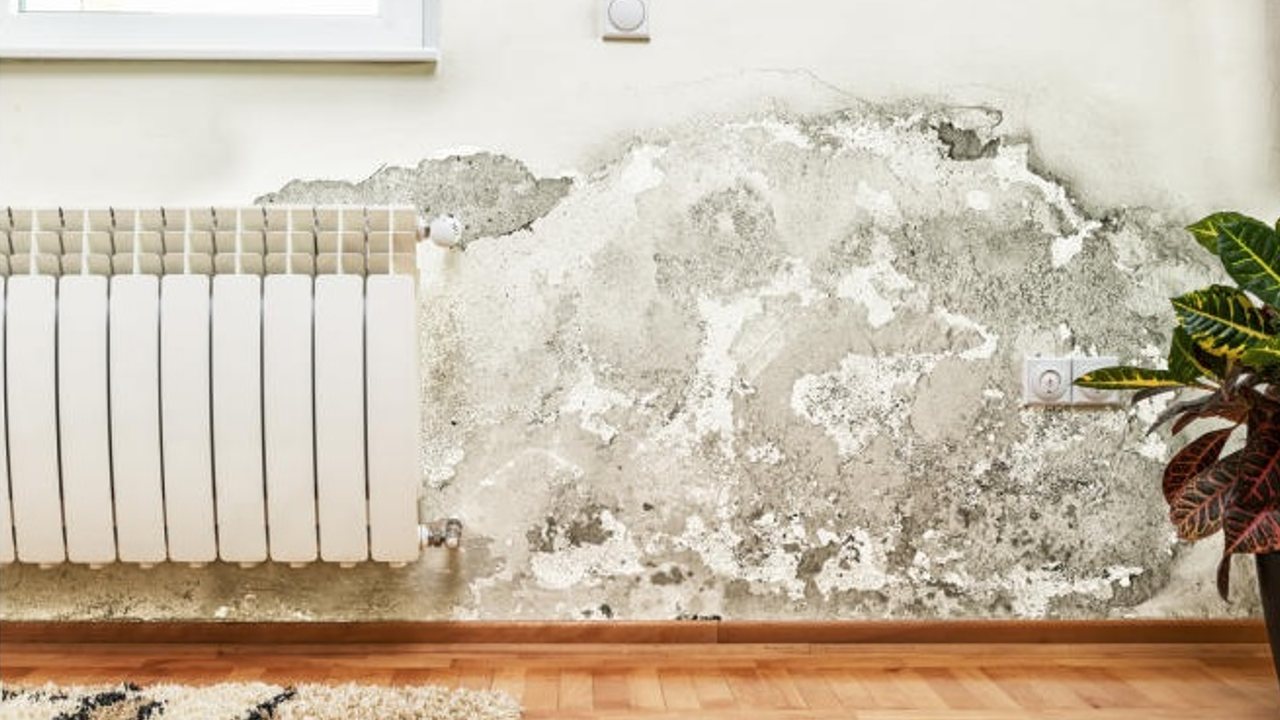 deshumidificador en casa