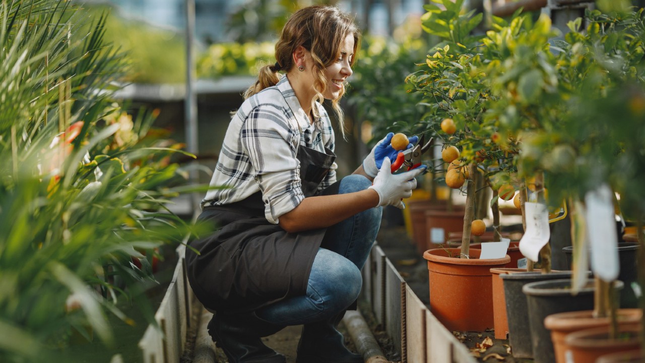 tijeras para la jardinería