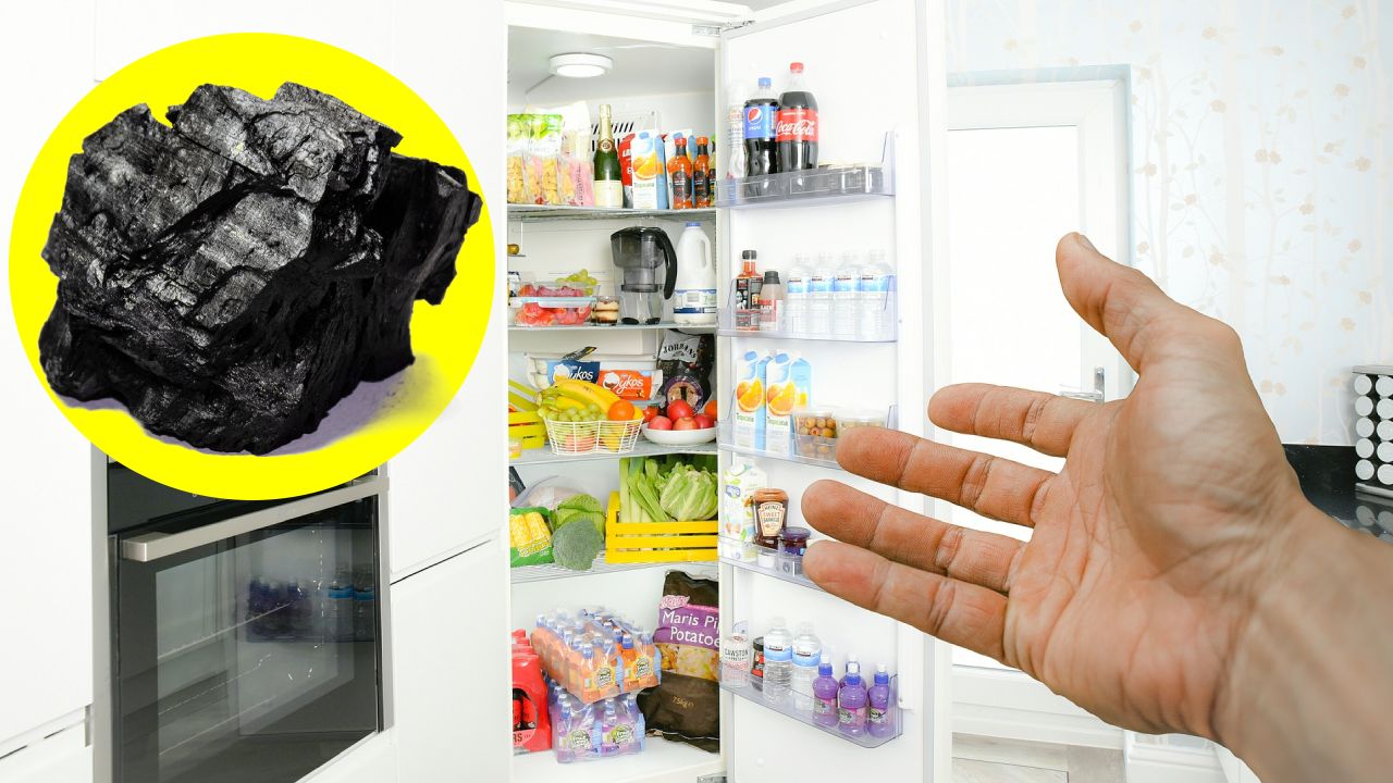 Poner carbón en el refrigerador