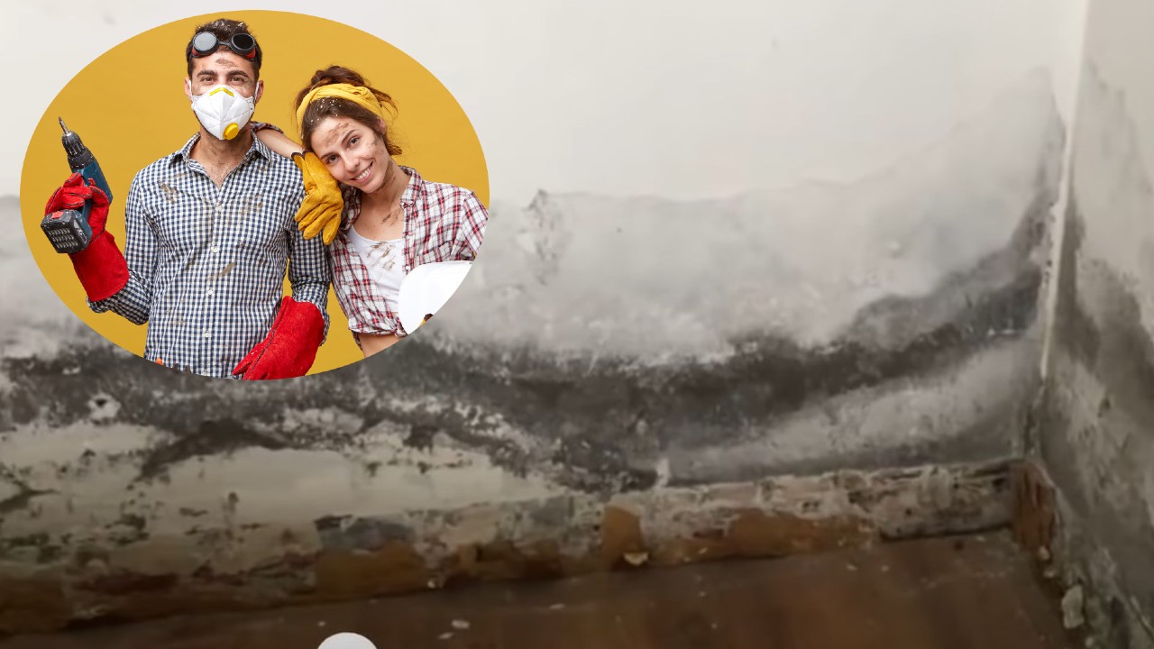 tips caseros de bajo costo para eliminar la humedad en las paredes