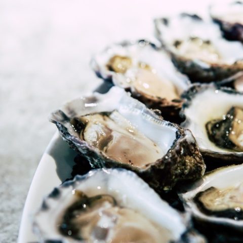 Almejas y ostiones