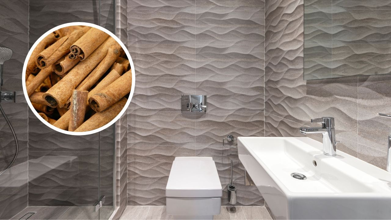 ambientador de canela para bano