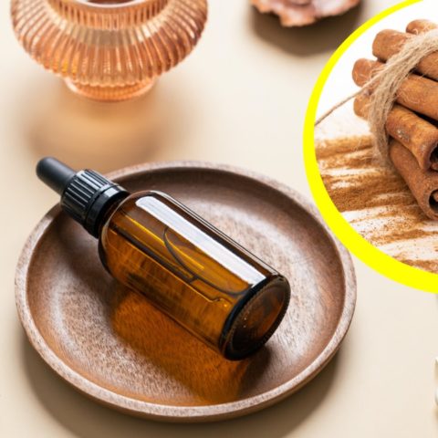 Cómo hacer aceite de canela